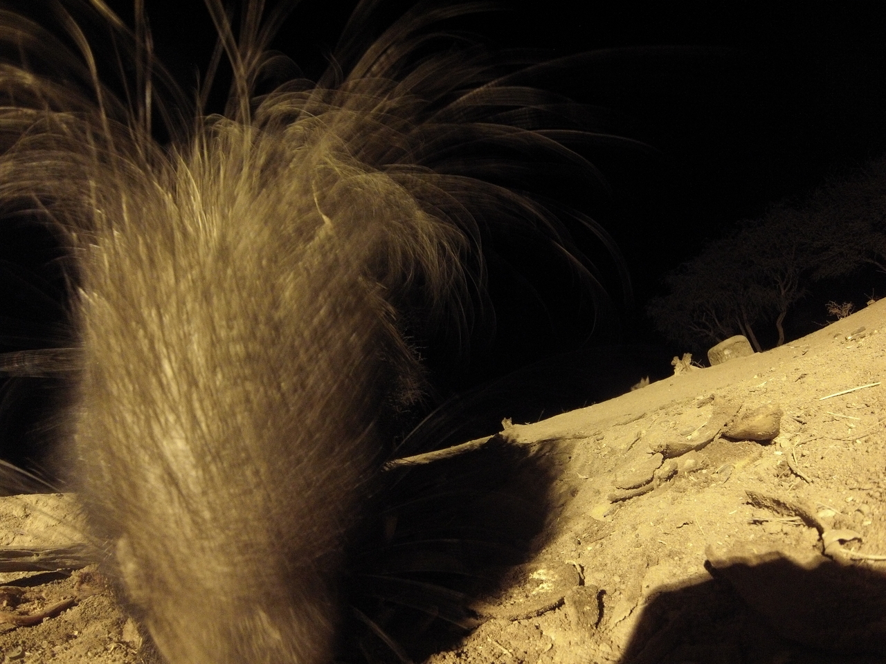 [11958] 2016_06_23_20_08_21_Africa_Hero3-Silver_Edition_IMG__00169.jpg