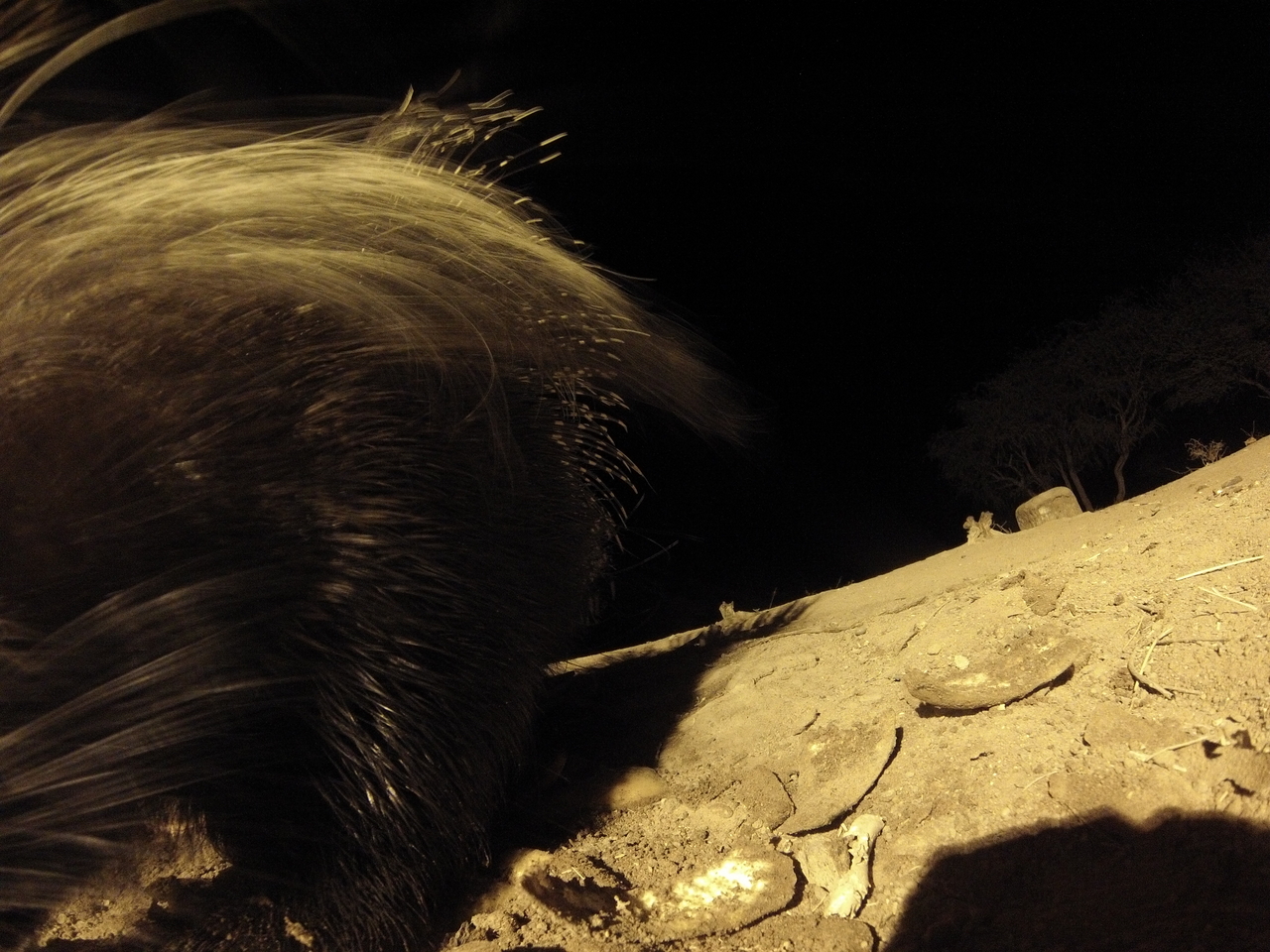 [12008] 2016_06_23_20_08_57_Africa_Hero3-Silver_Edition_IMG__00178.jpg