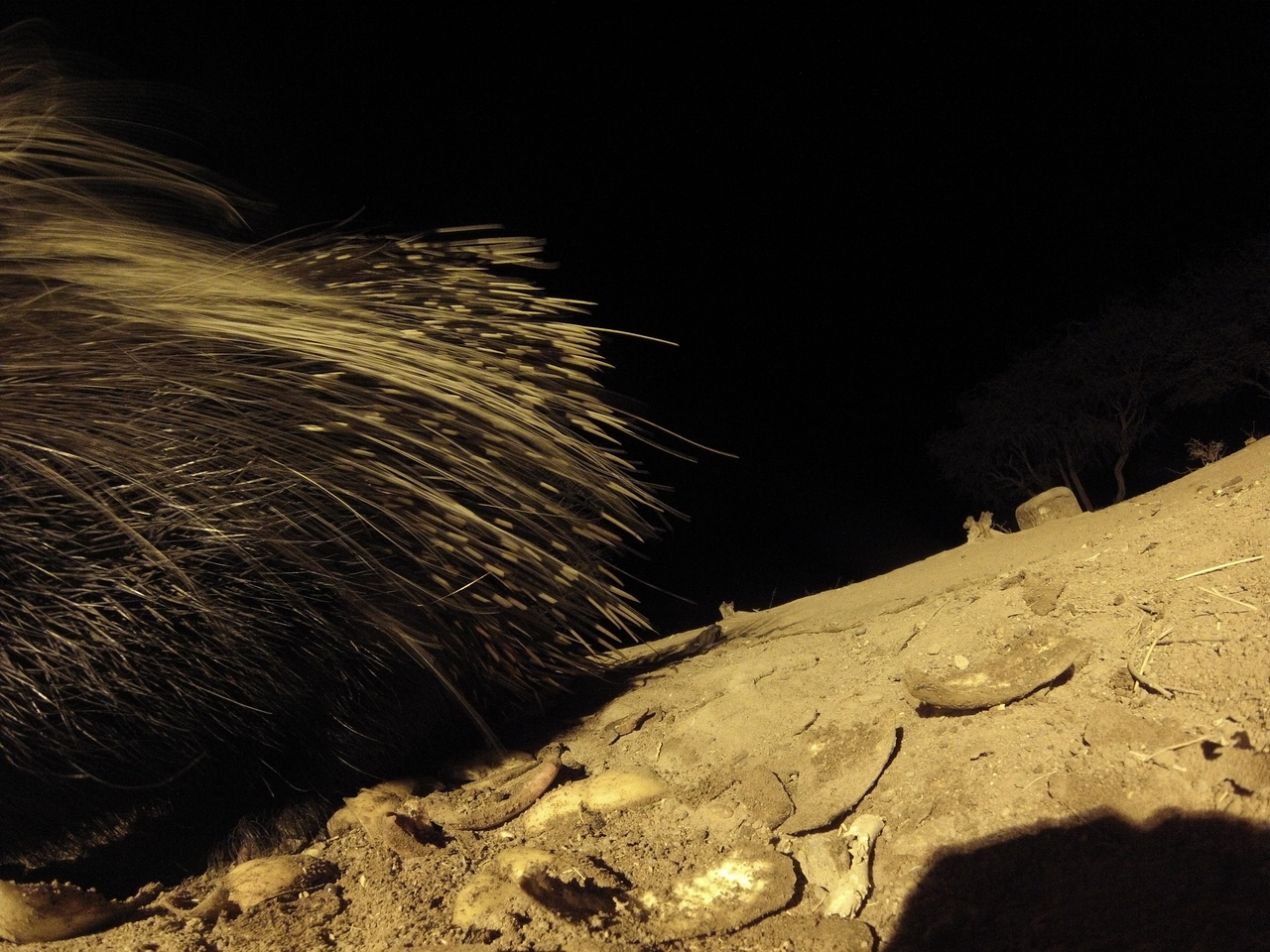 [12054] 2016_06_23_20_09_36_Africa_Hero3-Silver_Edition_IMG__01582.jpg