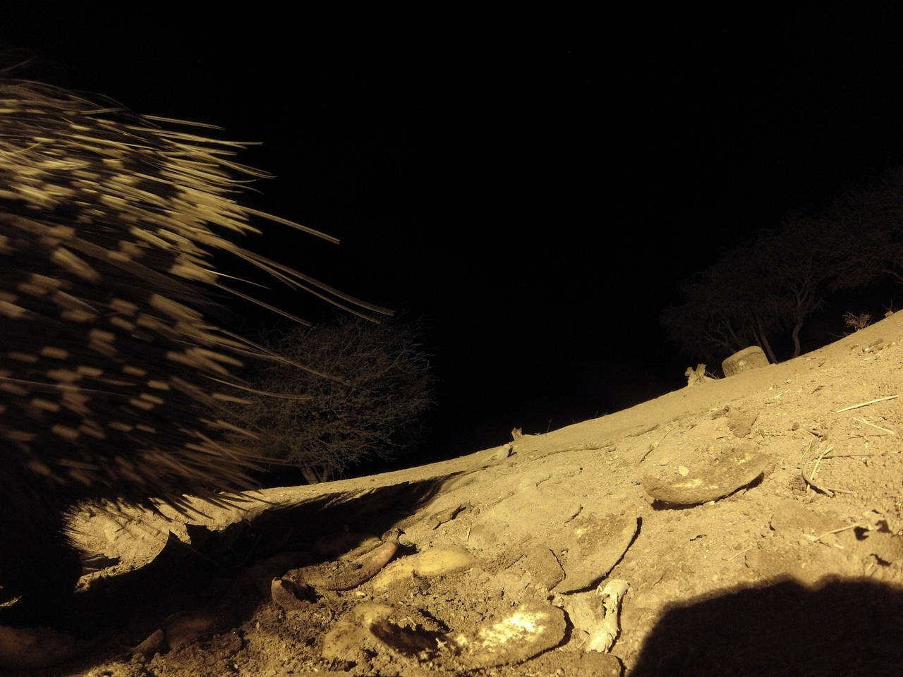 [12062] 2016_06_23_20_09_45_Africa_Hero3-Silver_Edition_IMG__00190.jpg