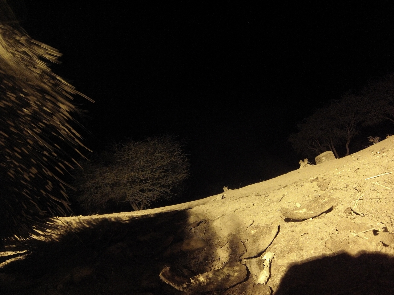 [12069] 2016_06_23_20_09_49_Africa_Hero3-Silver_Edition_IMG__01585.jpg