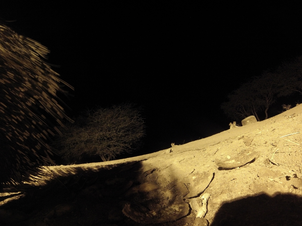 [12072] 2016_06_23_20_09_53_Africa_Hero3-Silver_Edition_IMG__00192.jpg