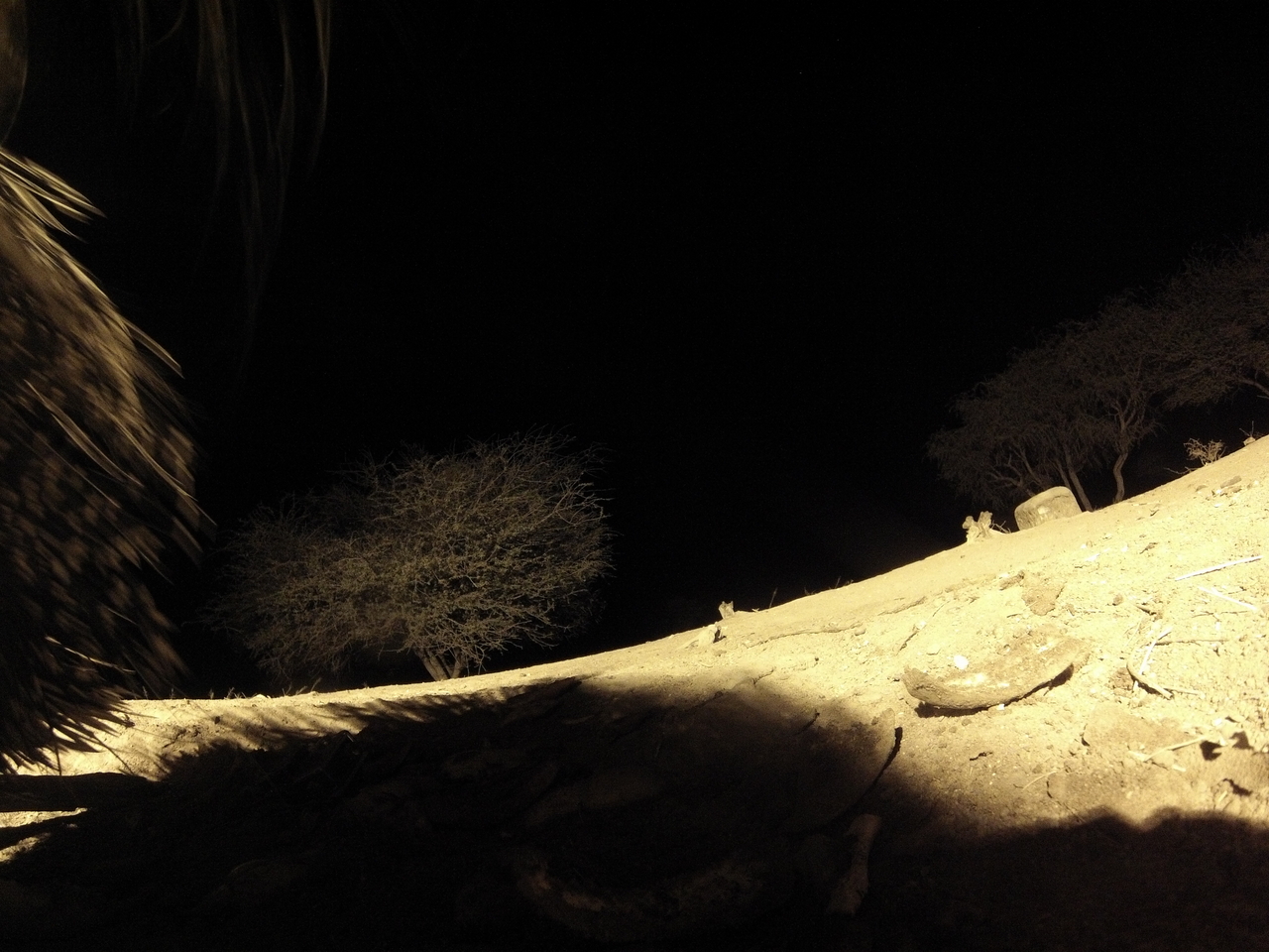 [12078] 2016_06_23_20_09_57_Africa_Hero3-Silver_Edition_IMG__01139.jpg