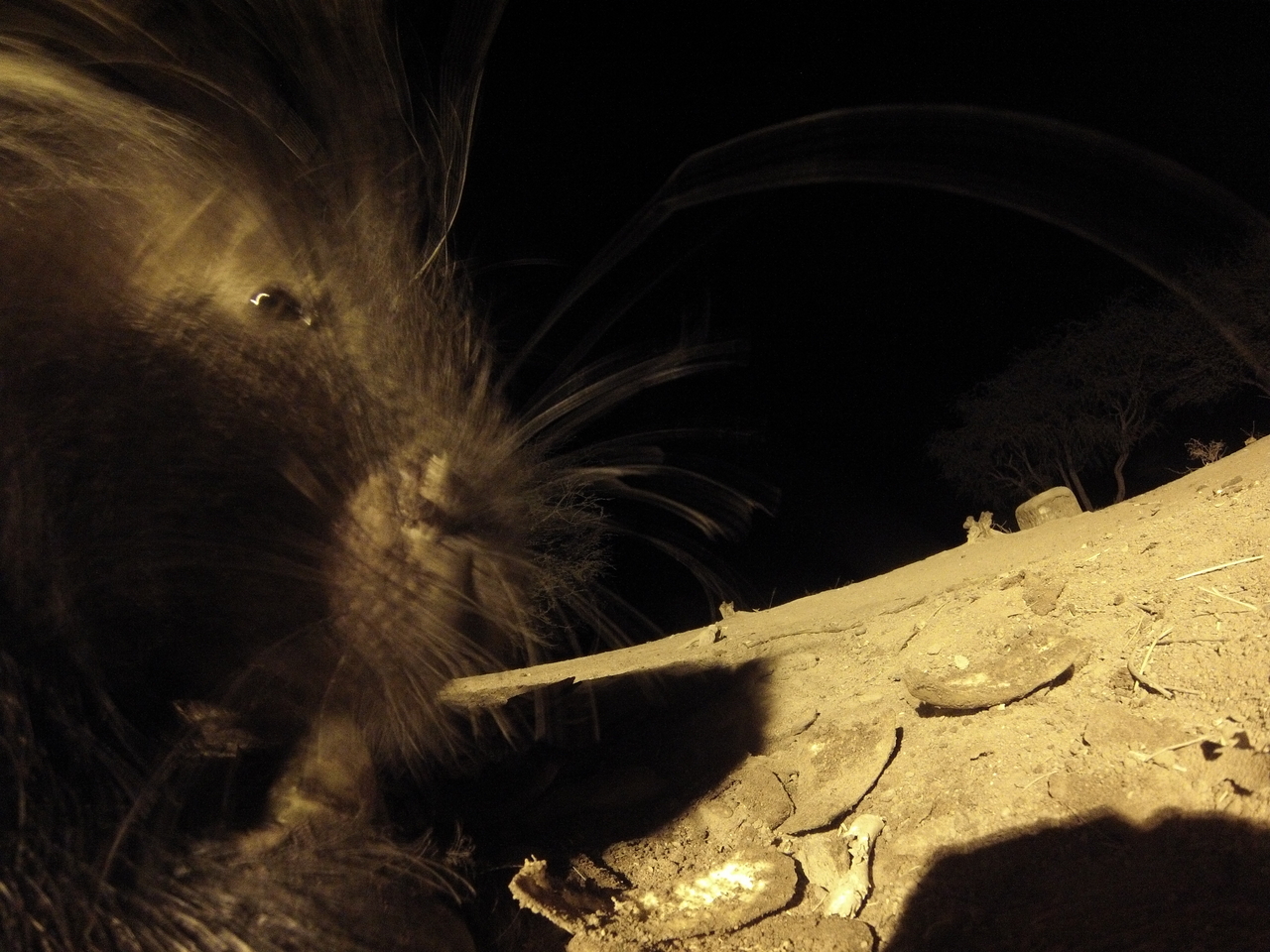 [12080] 2016_06_23_20_10_01_Africa_Hero3-Silver_Edition_IMG__00194.jpg