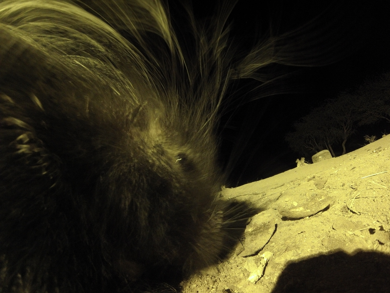 [12141] 2016_06_23_20_10_53_Africa_Hero3-Silver_Edition_IMG__00207.jpg