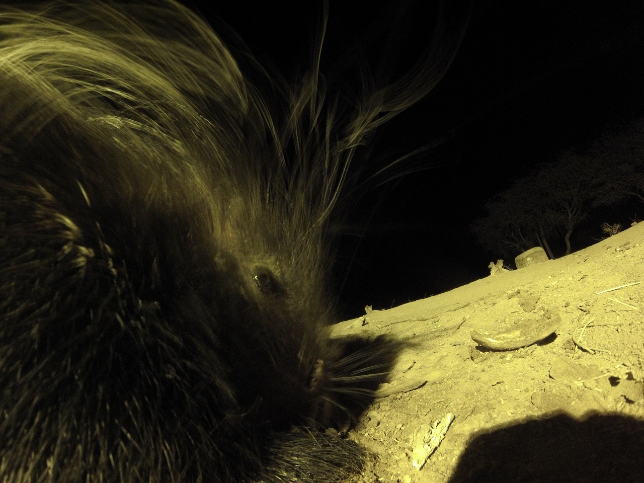 [12146] 2016_06_23_20_10_57_Africa_Hero3-Silver_Edition_IMG__00208.jpg