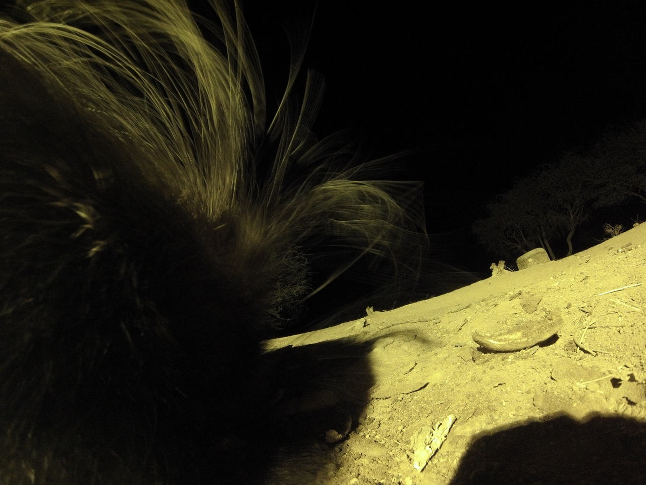 [12151] 2016_06_23_20_11_01_Africa_Hero3-Silver_Edition_IMG__01603.jpg