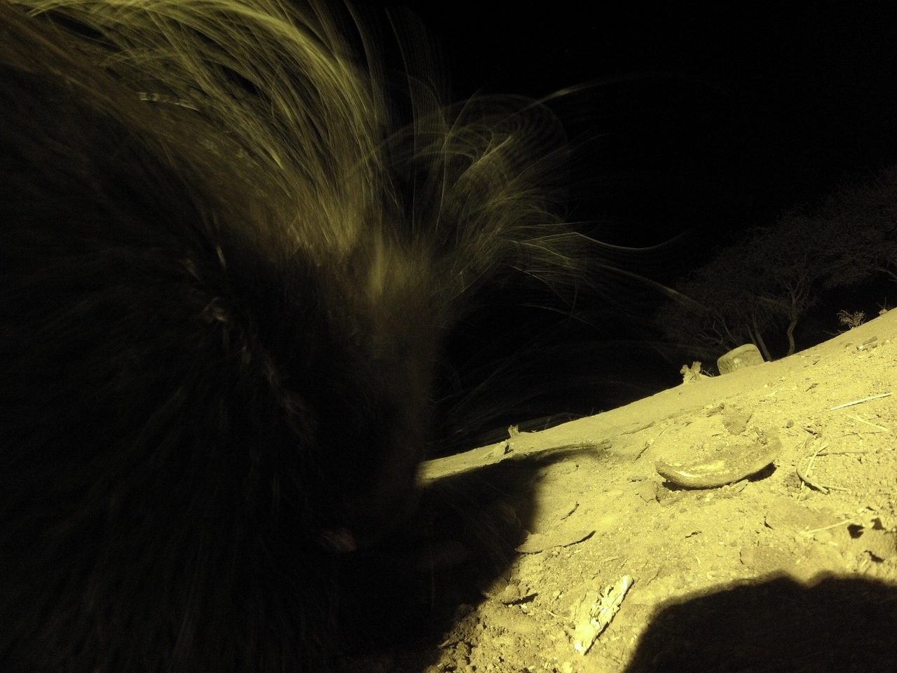 [12160] 2016_06_23_20_11_09_Africa_Hero3-Silver_Edition_IMG__01157.jpg