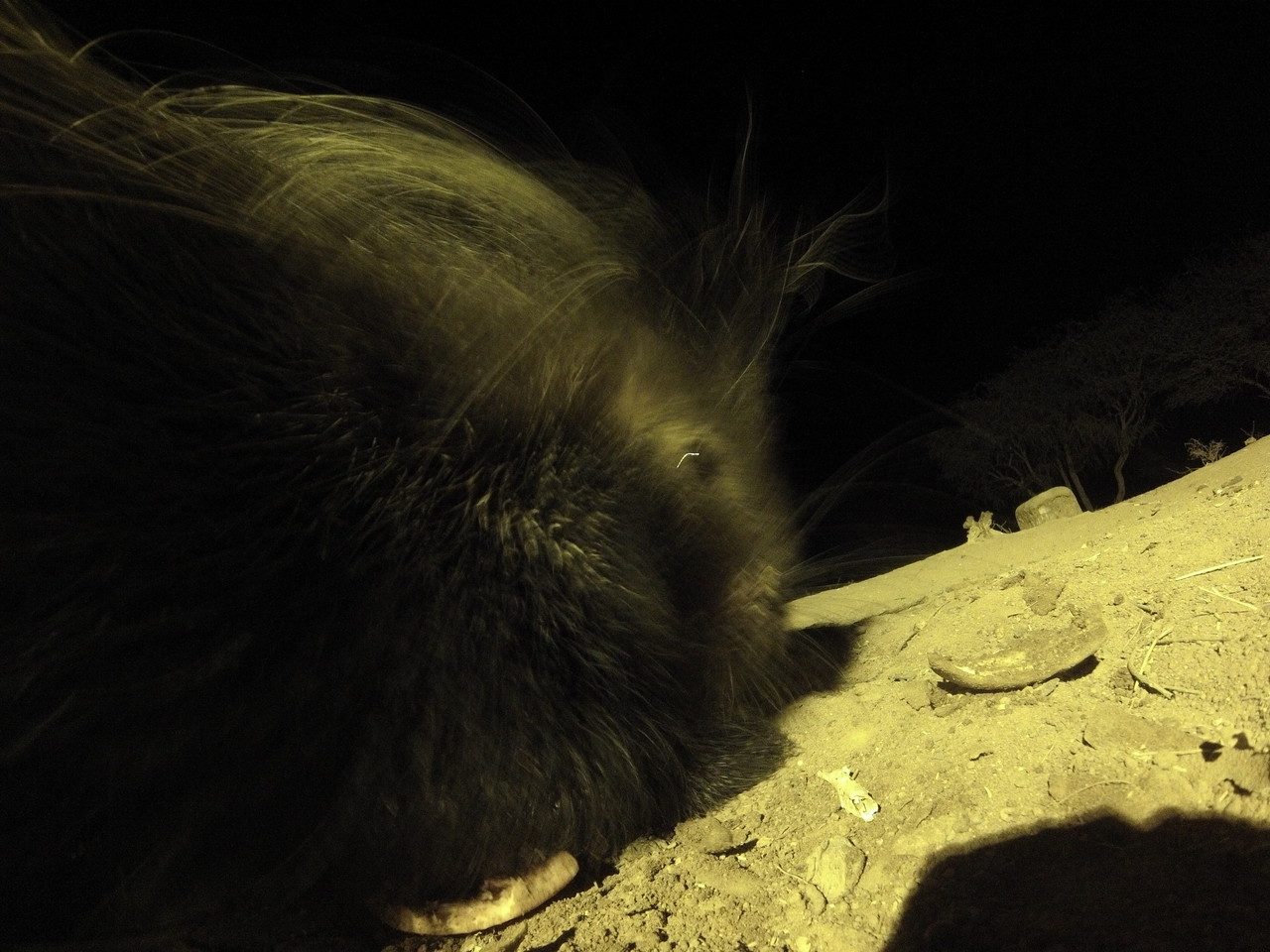 [12189] 2016_06_23_20_11_33_Africa_Hero3-Silver_Edition_IMG__01611.jpg