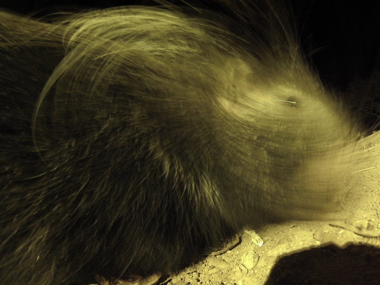 [12194] 2016_06_23_20_11_37_Africa_Hero3-Silver_Edition_IMG__01612.jpg