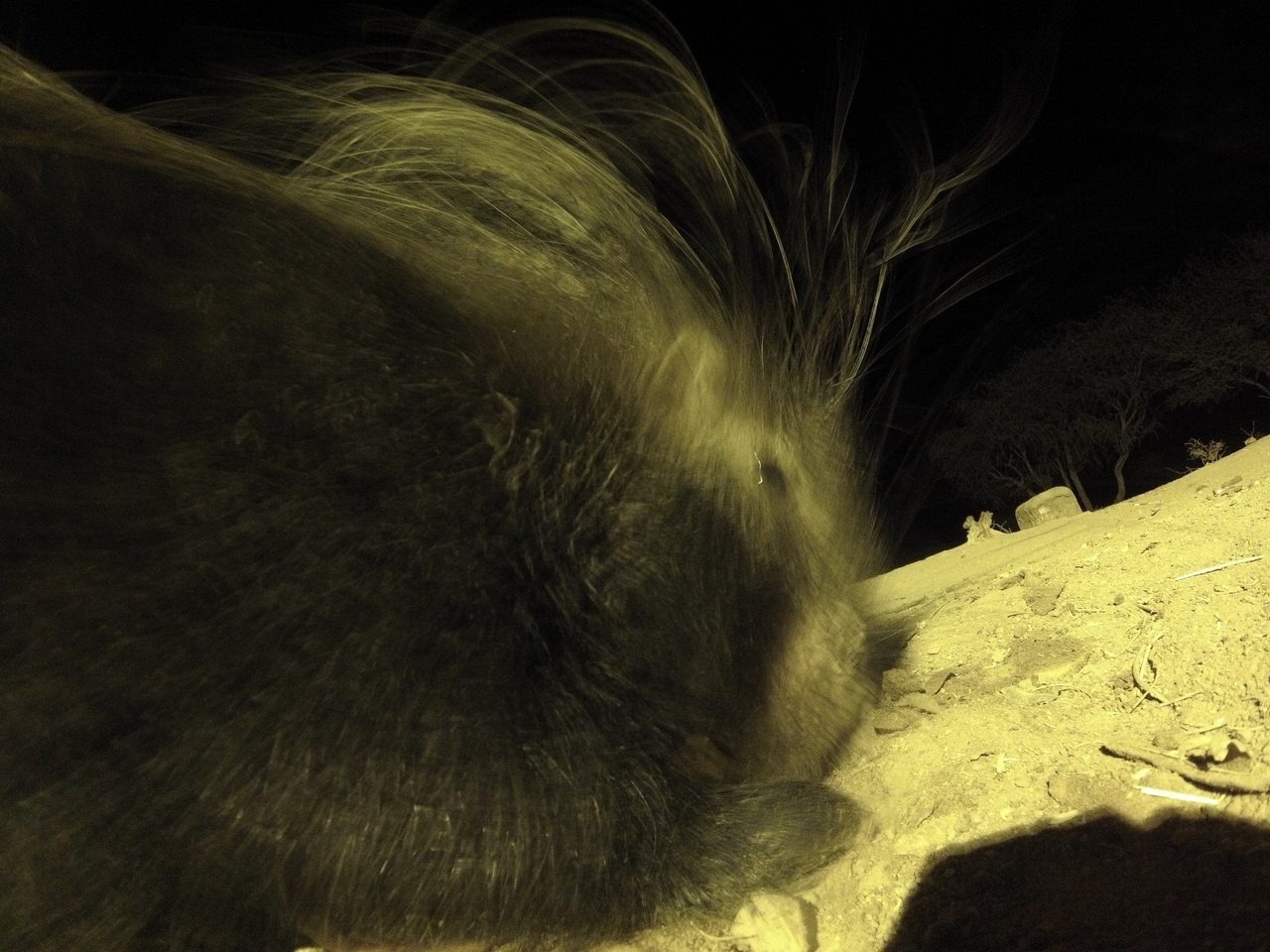 [12195] 2016_06_23_20_11_41_Africa_Hero3-Silver_Edition_IMG__00219.jpg