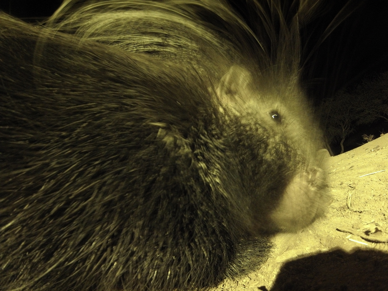 [12200] 2016_06_23_20_11_45_Africa_Hero3-Silver_Edition_IMG__00220.jpg