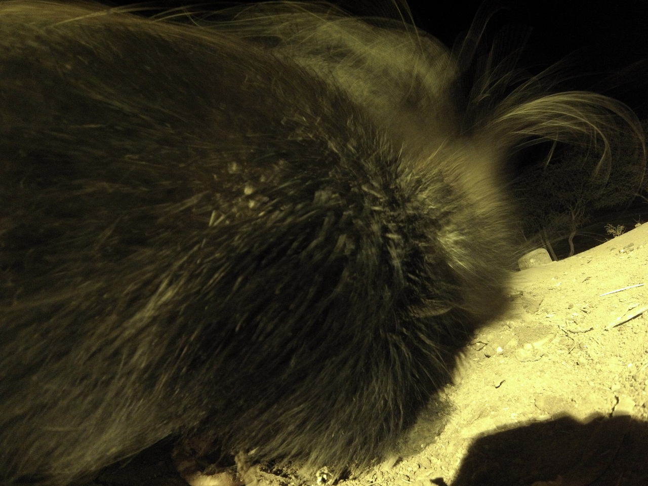 [12206] 2016_06_23_20_11_49_Africa_Hero3-Silver_Edition_IMG__01167.jpg