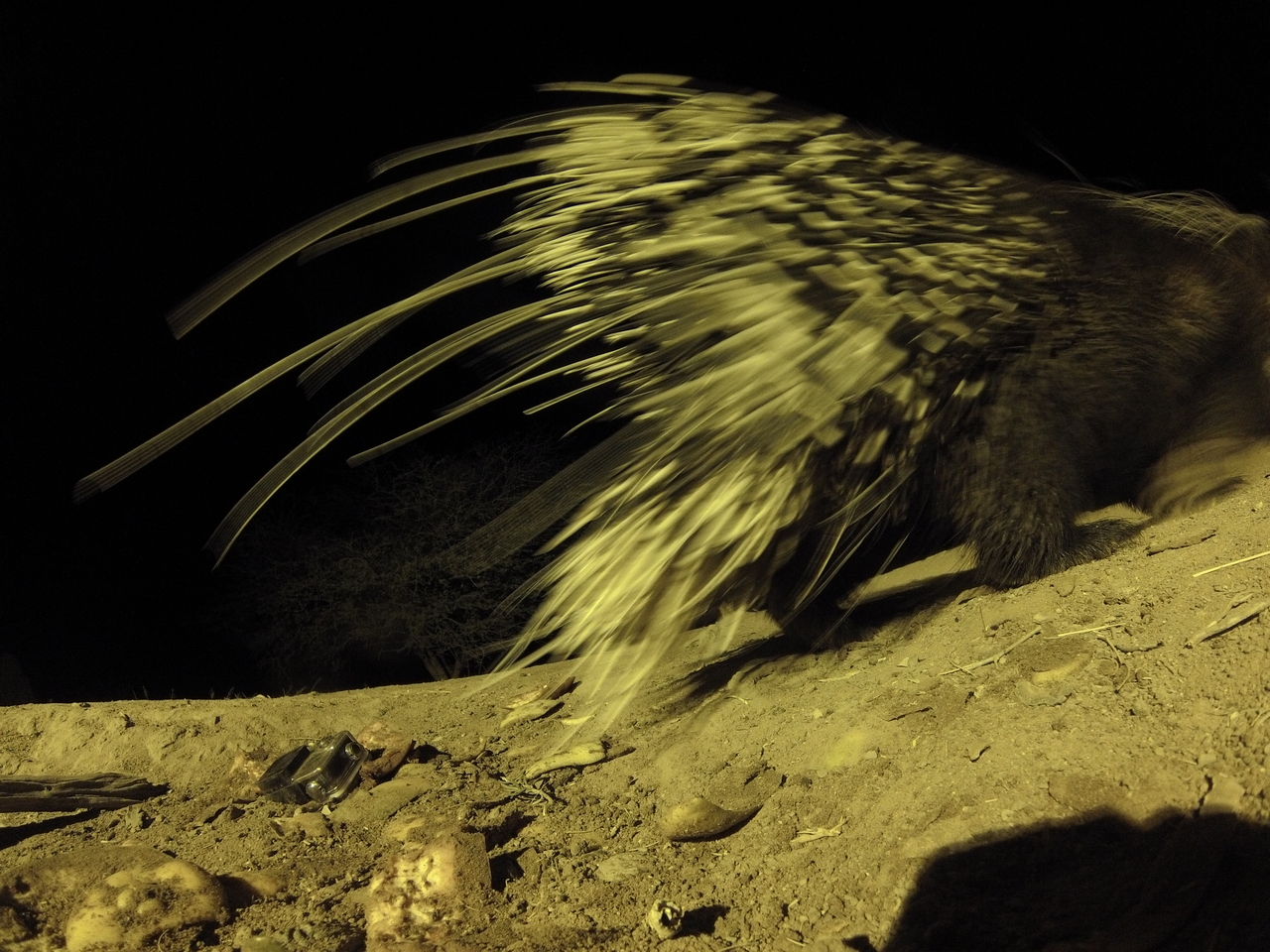 [12251] 2016_06_23_20_12_25_Africa_Hero3-Silver_Edition_IMG__01624.jpg