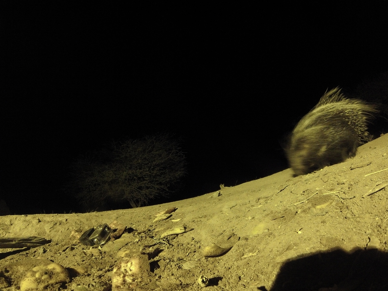 [12350] 2016_06_23_20_13_46_Africa_Hero3-Silver_Edition_IMG__01197.jpg