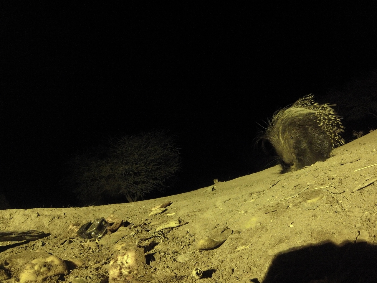 [12361] 2016_06_23_20_13_54_Africa_Hero3-Silver_Edition_IMG__01200.jpg