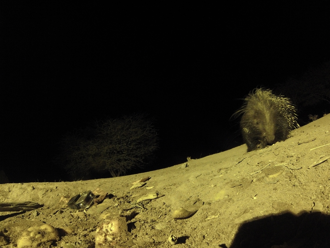 [12372] 2016_06_23_20_14_02_Africa_Hero3-Silver_Edition_IMG__01650.jpg