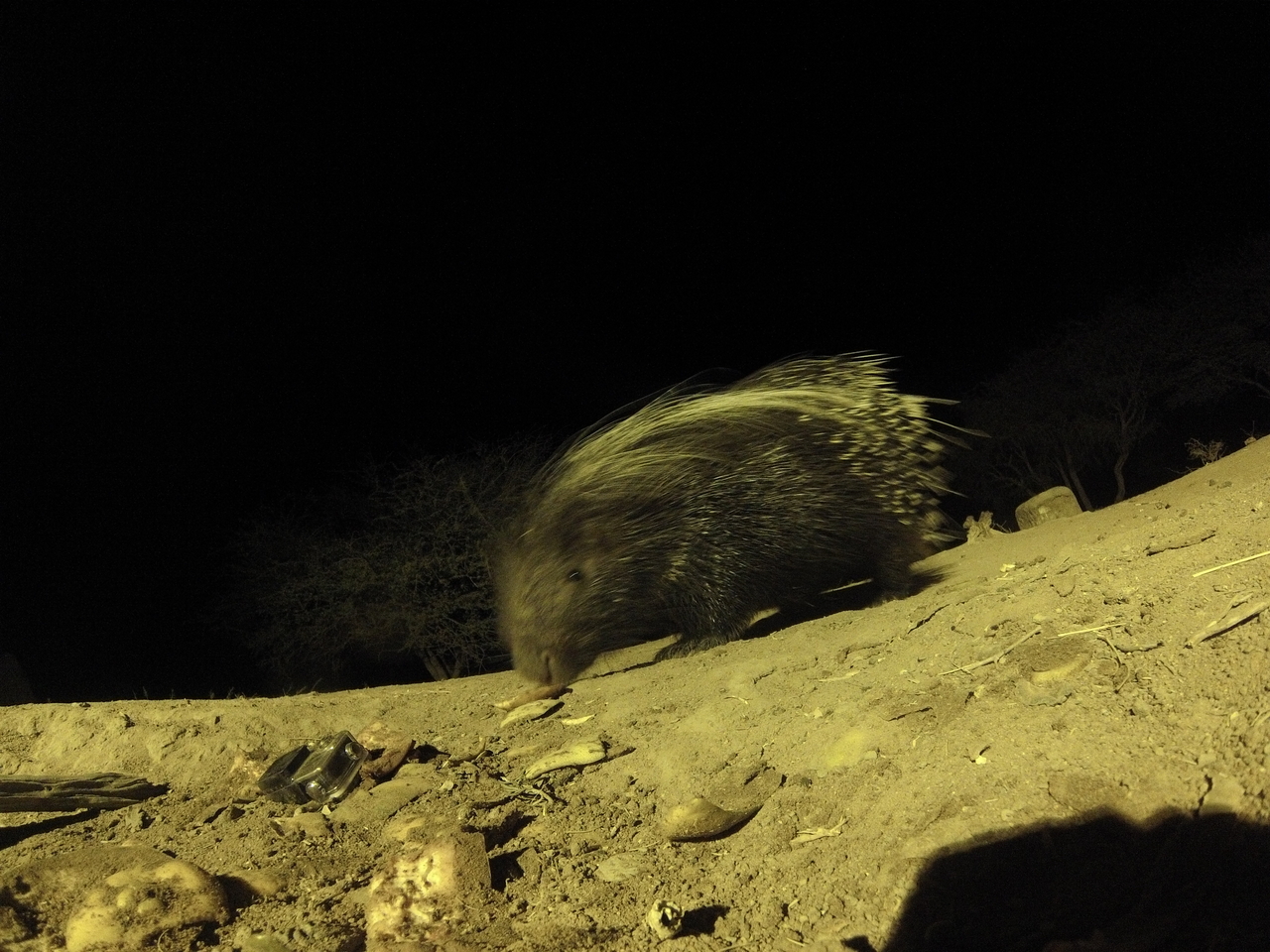 [12379] 2016_06_23_20_14_10_Africa_Hero3-Silver_Edition_IMG__01204.jpg