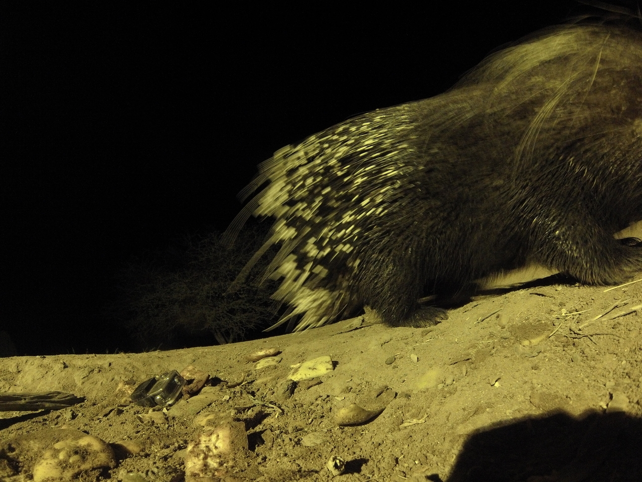 [12425] 2016_06_23_20_14_46_Africa_Hero3-Silver_Edition_IMG__01213.jpg