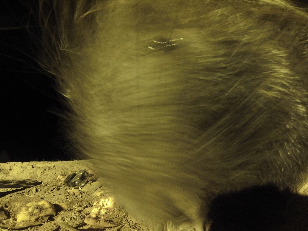 [12451] 2016_06_23_20_15_09_Africa_Hero3-Silver_Edition_IMG__01219.jpg