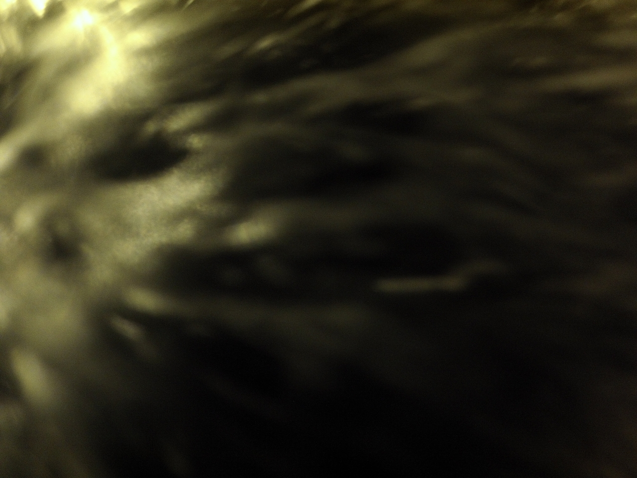 [12474] 2016_06_23_20_15_29_Africa_Hero3-Silver_Edition_IMG__01224.jpg