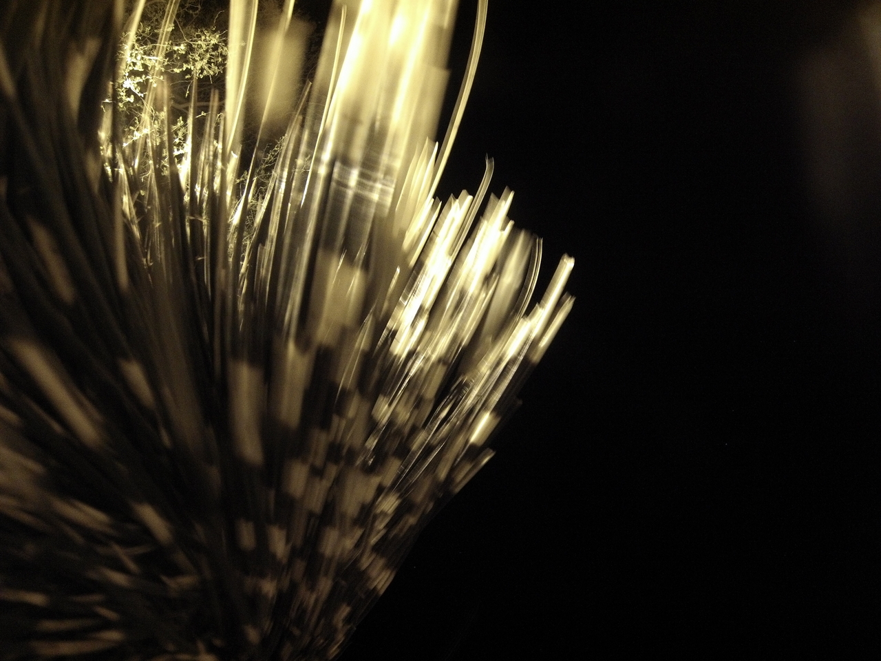 [12484] 2016_06_23_20_15_37_Africa_Hero3-Silver_Edition_IMG__01226.jpg