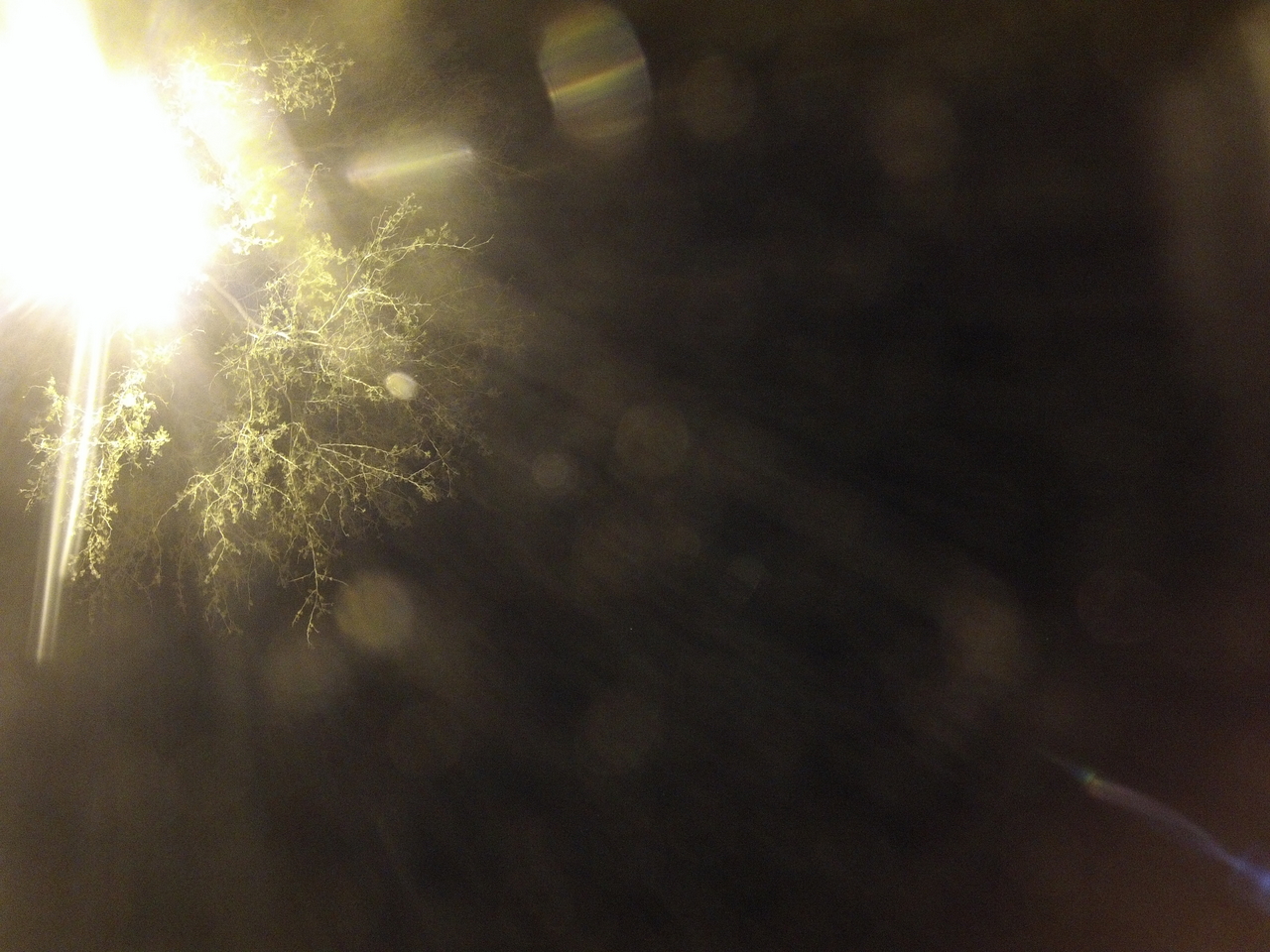 [12527] 2016_06_23_20_16_12_Africa_Hero3-Silver_Edition_IMG__00290.jpg