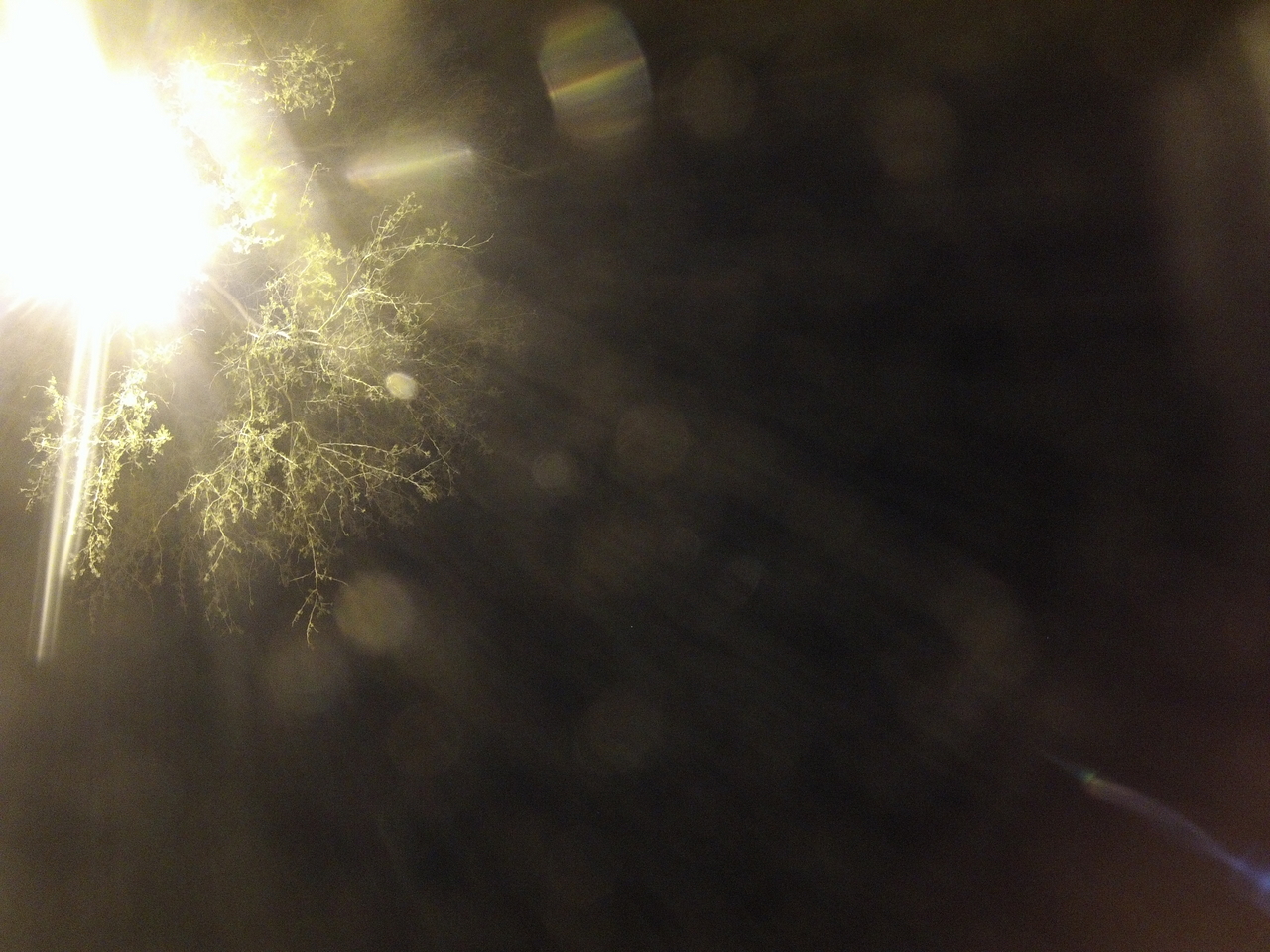 [12608] 2016_06_23_20_17_18_Africa_Hero3-Silver_Edition_IMG__01254.jpg