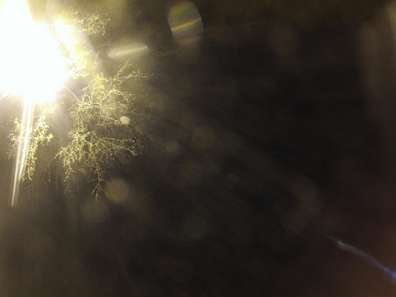 [12672] 2016_06_23_20_18_12_Africa_Hero3-Silver_Edition_IMG__01268.jpg