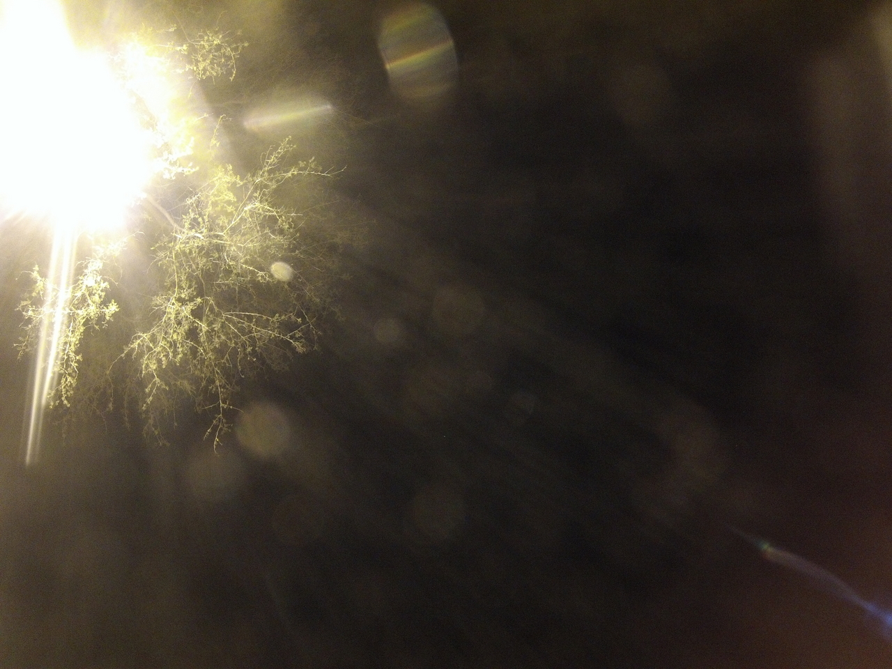 [12772] 2016_06_23_20_19_39_Africa_Hero3-Silver_Edition_IMG__01290.jpg