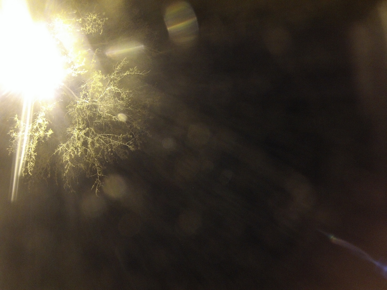 [12901] 2016_06_23_20_21_31_Africa_Hero3-Silver_Edition_IMG__00372.jpg