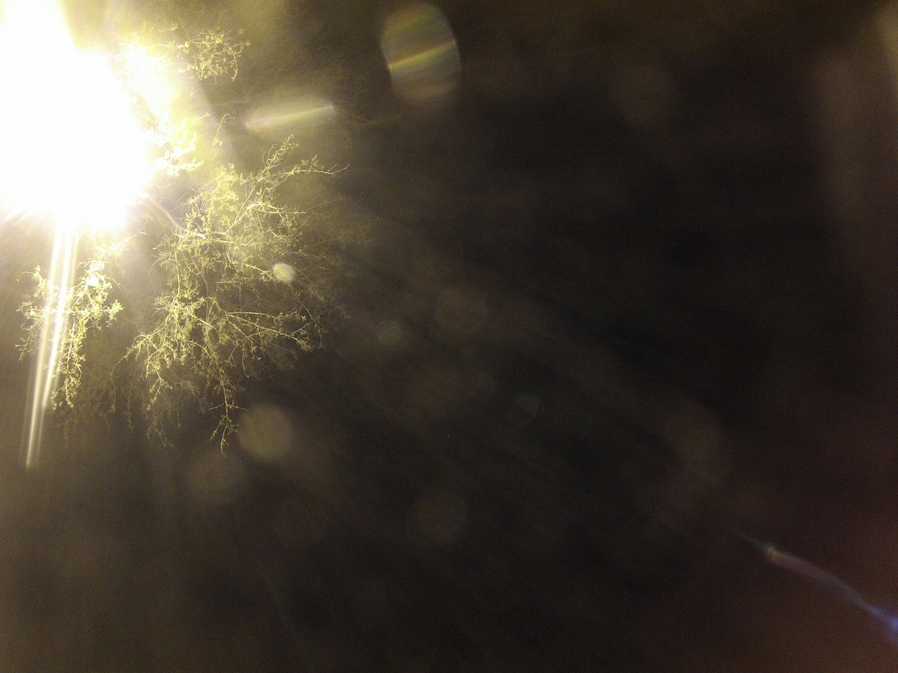 [12911] 2016_06_23_20_21_39_Africa_Hero3-Silver_Edition_IMG__01768.jpg