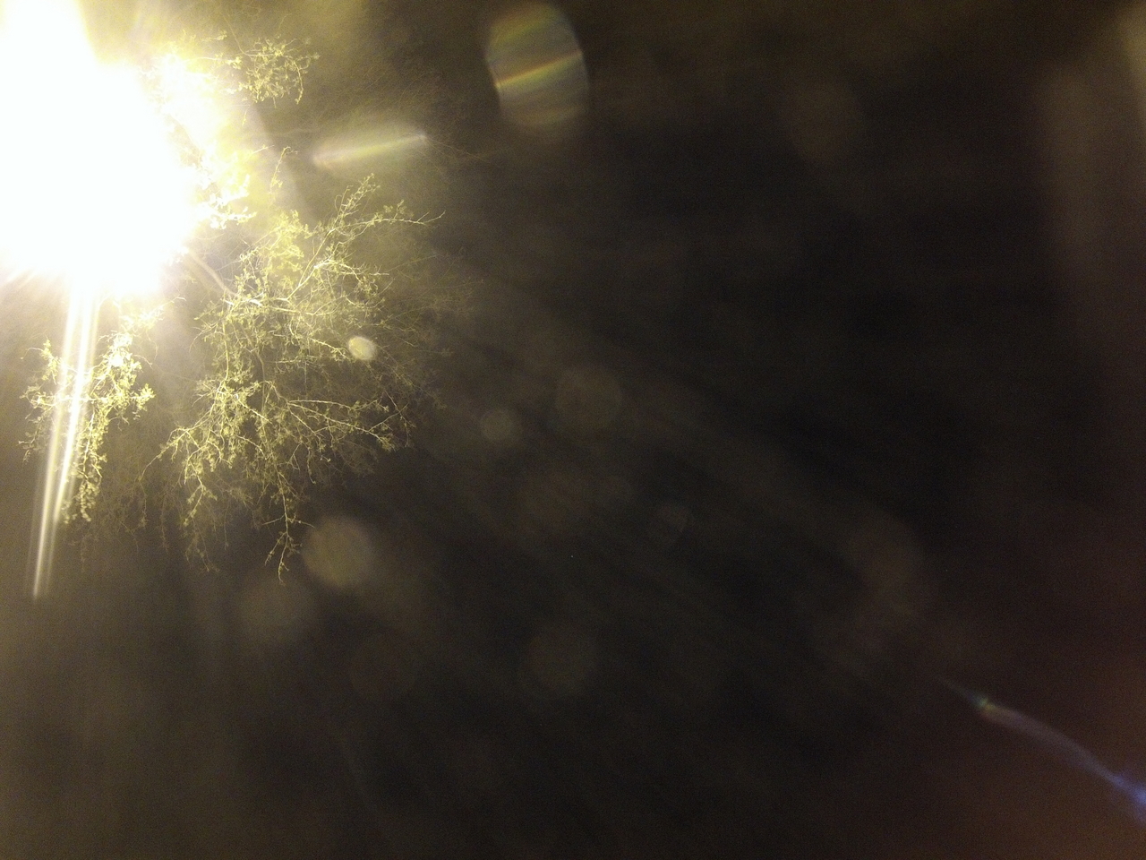 [12920] 2016_06_23_20_21_47_Africa_Hero3-Silver_Edition_IMG__01322.jpg