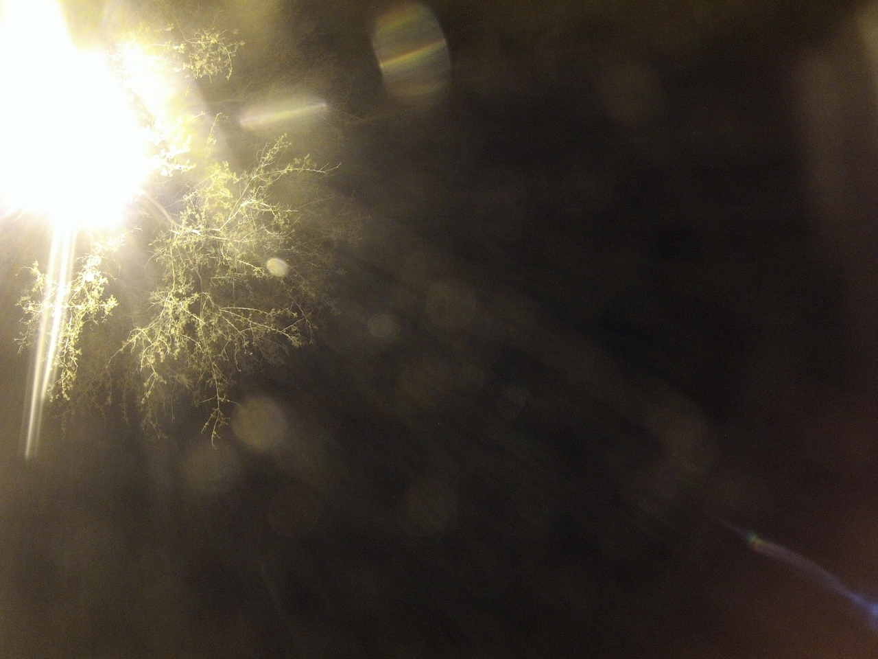 [13036] 2016_06_23_20_23_27_Africa_Hero3-Silver_Edition_IMG__01795.jpg