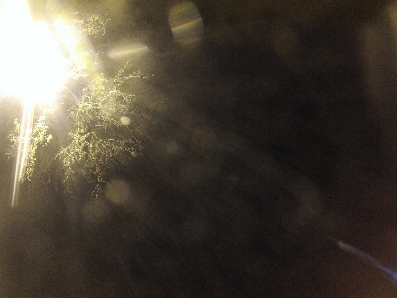 [13264] 2016_06_23_20_26_47_Africa_Hero3-Silver_Edition_IMG__00451.jpg