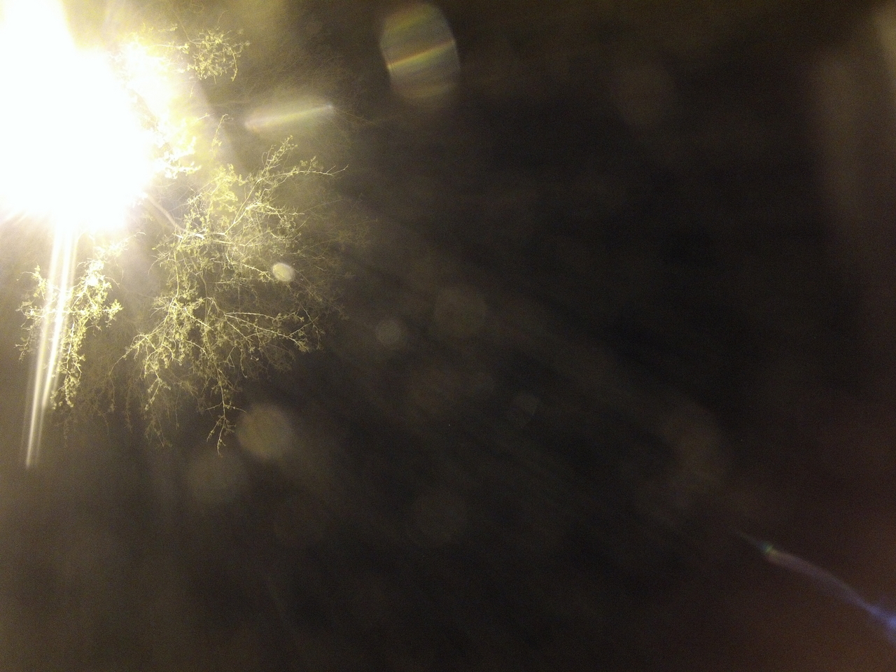 [13334] 2016_06_23_20_27_47_Africa_Hero3-Silver_Edition_IMG__01412.jpg