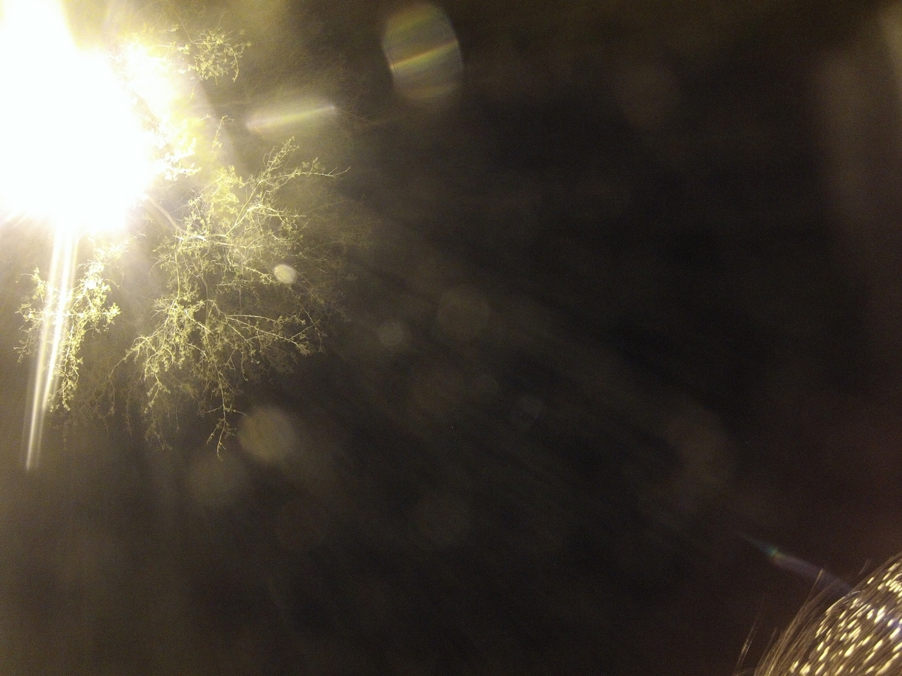 [13347] 2016_06_23_20_27_59_Africa_Hero3-Silver_Edition_IMG__01415.jpg