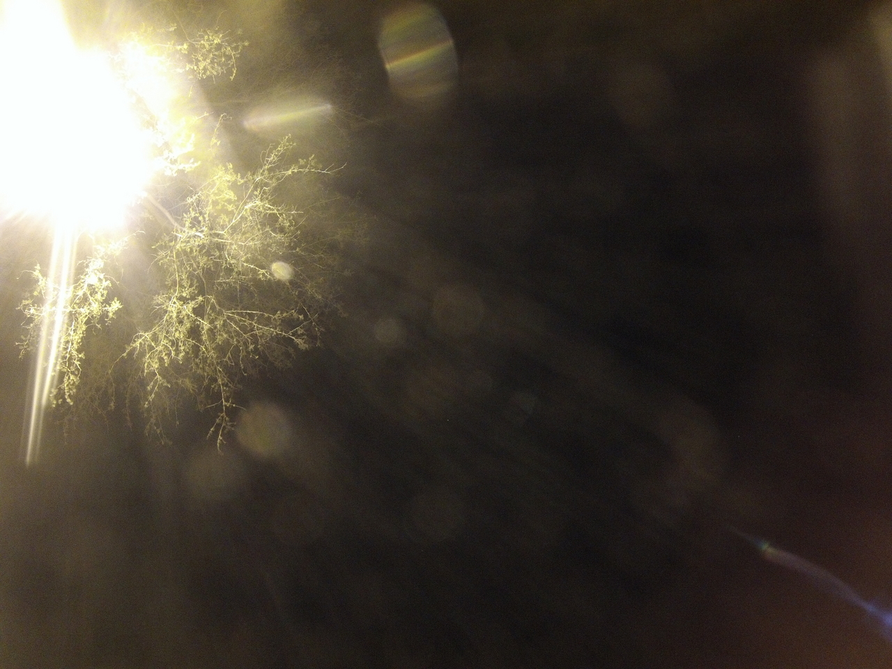 [13456] 2016_06_23_20_29_35_Africa_Hero3-Silver_Edition_IMG__00493.jpg