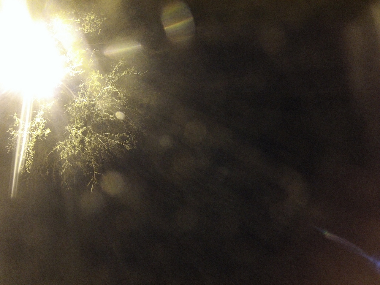 [13509] 2016_06_23_20_30_19_Africa_Hero3-Silver_Edition_IMG__01898.jpg