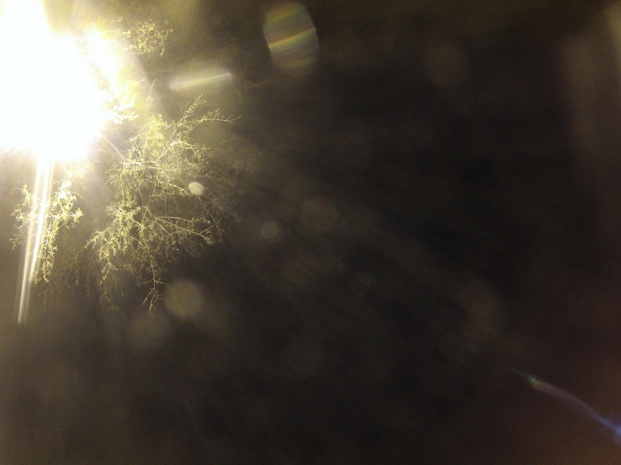 [13532] 2016_06_23_20_30_39_Africa_Hero3-Silver_Edition_IMG__01903.jpg