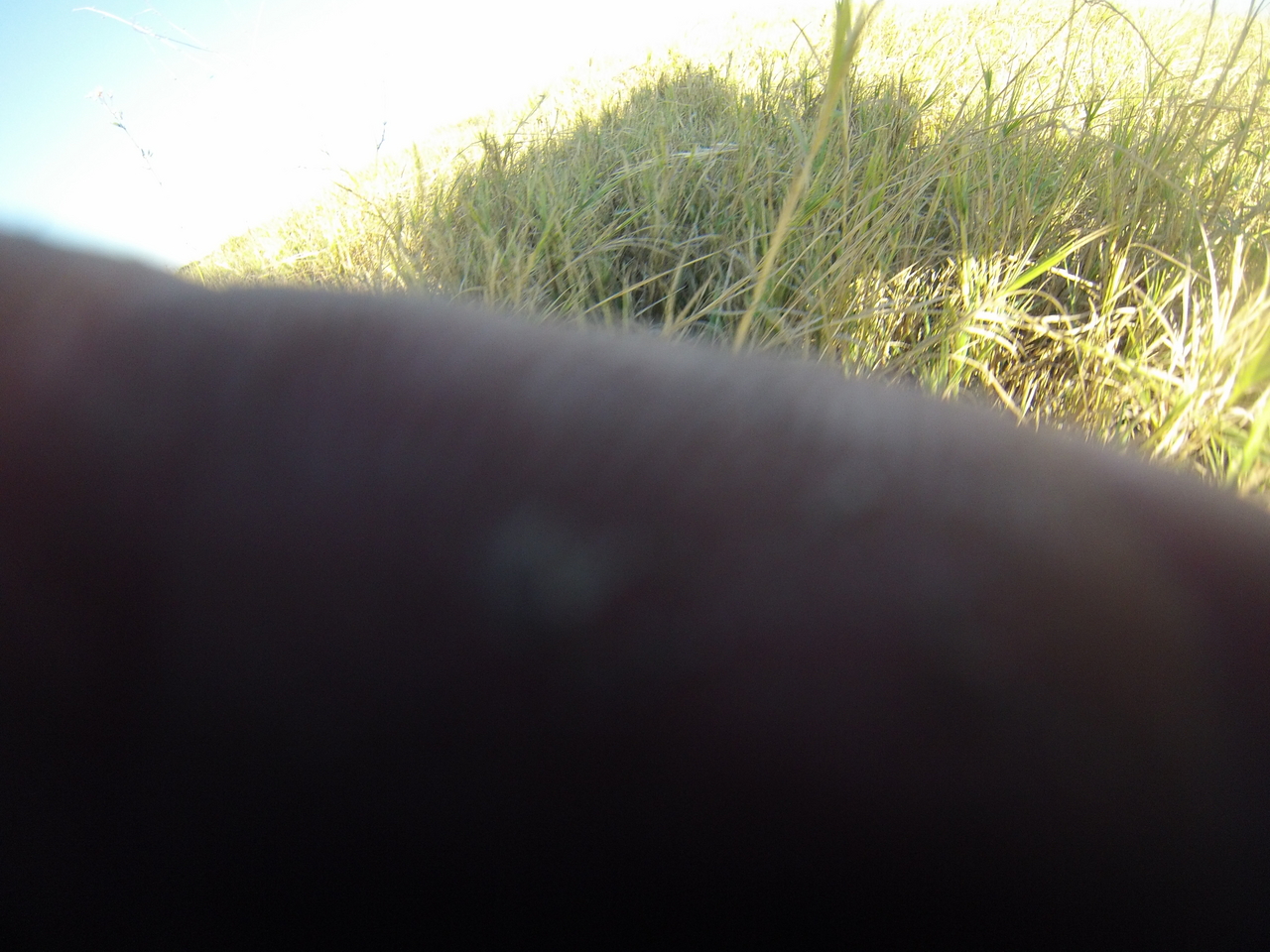 [25355] 2016_06_30_15_00_29_Africa_Hero3-Silver_Edition_IMG__01493.jpg