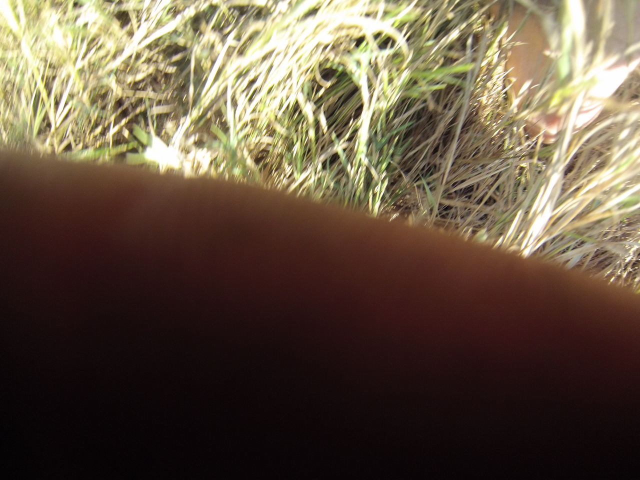 [25360] 2016_06_30_15_00_33_Africa_Hero3-Silver_Edition_IMG__00549.jpg