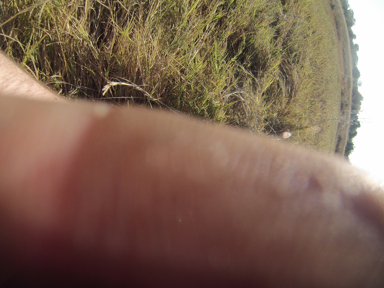 [25363] 2016_06_30_15_00_35_Africa_Hero3-Silver_Edition_IMG__00550.jpg