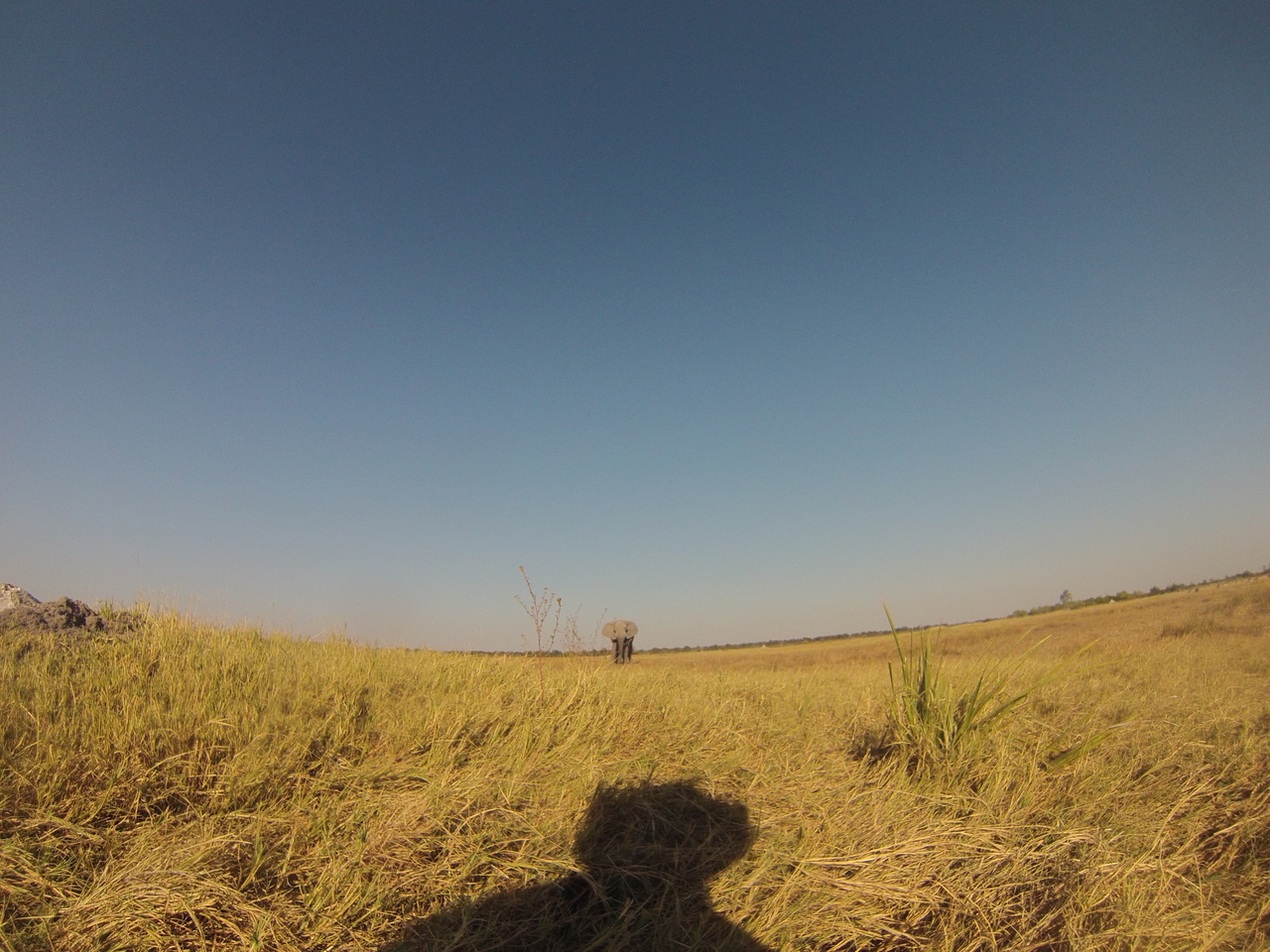 [25389] 2016_06_30_15_00_53_Africa_Hero3-Silver_Edition_IMG__01952.jpg