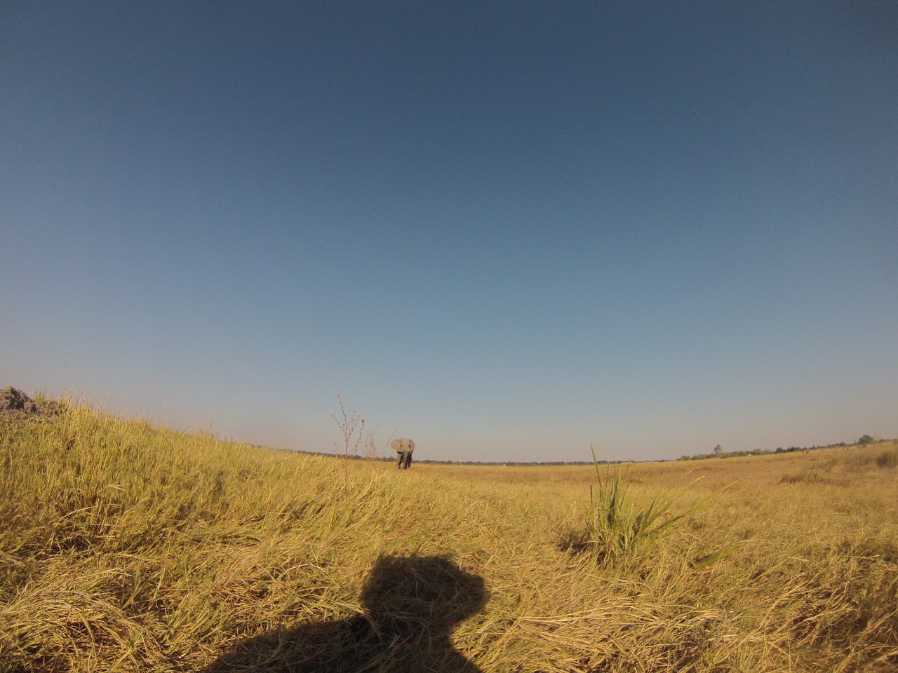 [25395] 2016_06_30_15_00_57_Africa_Hero3-Silver_Edition_IMG__01954.jpg