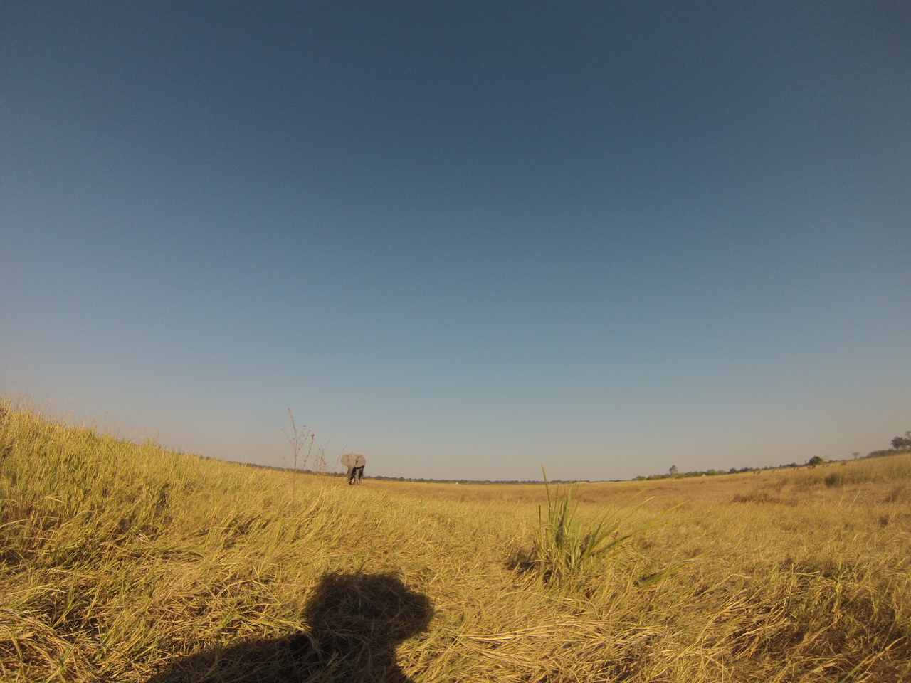 [25400] 2016_06_30_15_01_01_Africa_Hero3-Silver_Edition_IMG__01508.jpg