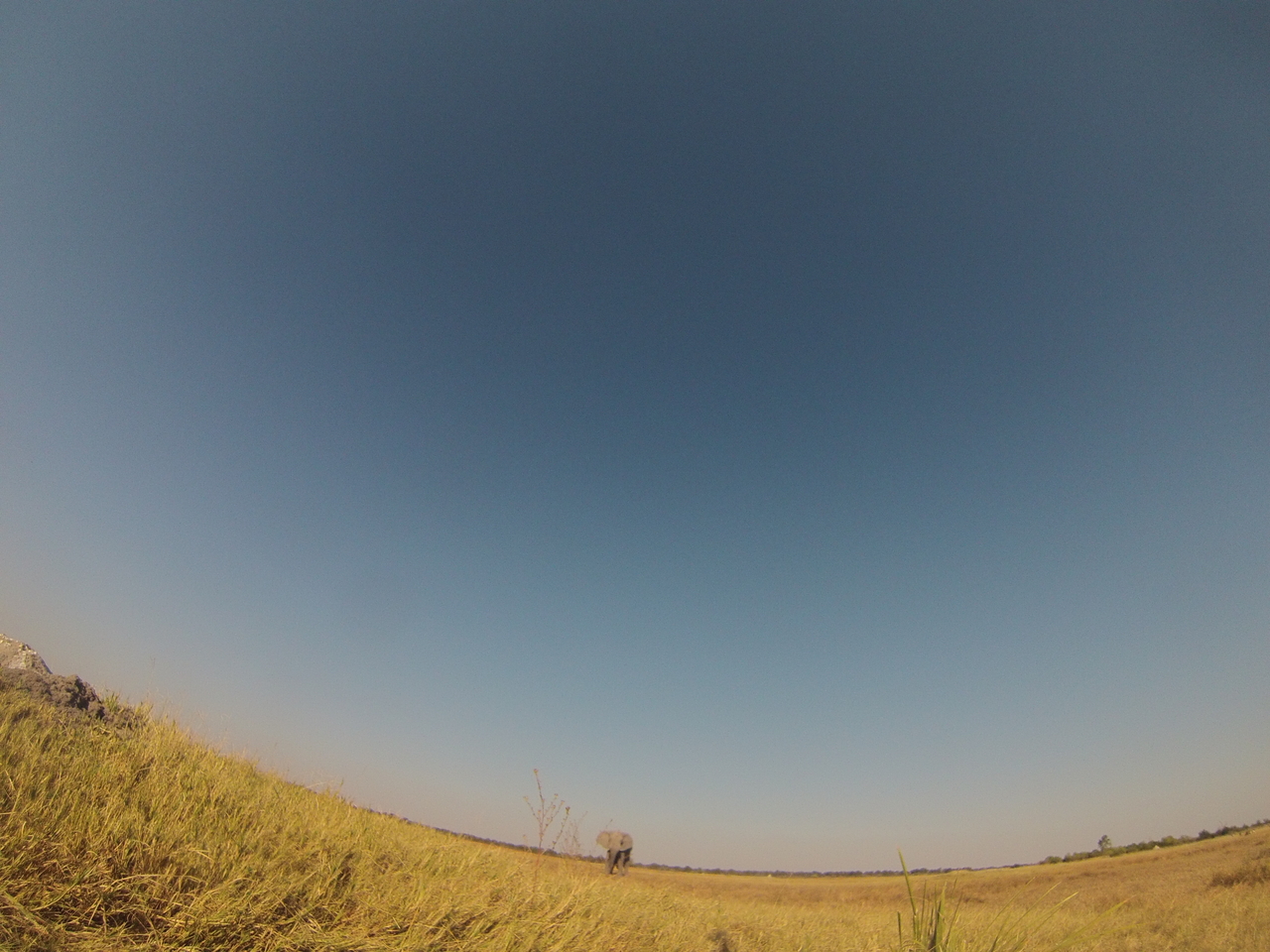 [25416] 2016_06_30_15_01_11_Africa_Hero3-Silver_Edition_IMG__01961.jpg