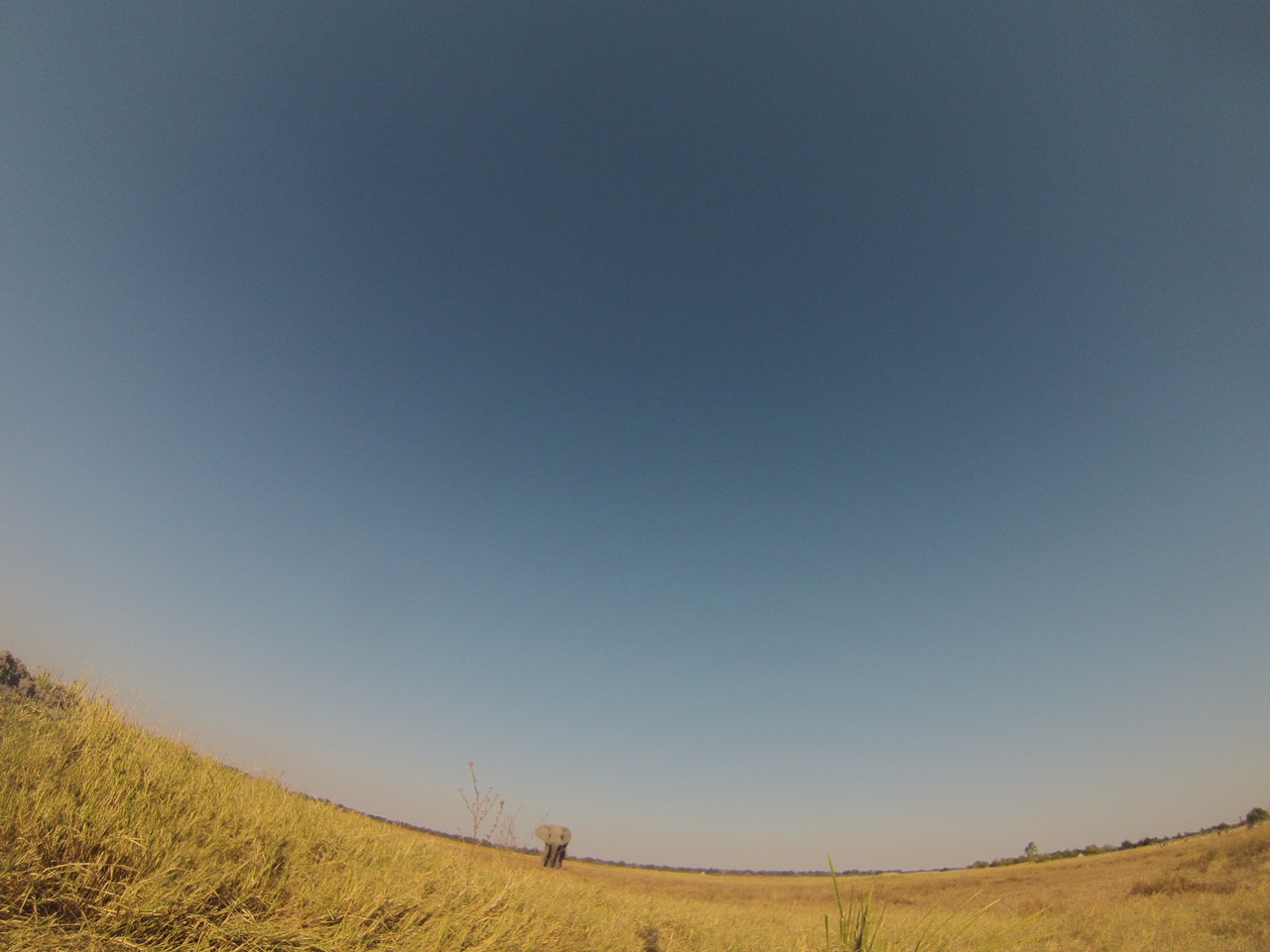 [25433] 2016_06_30_15_01_23_Africa_Hero3-Silver_Edition_IMG__01519.jpg