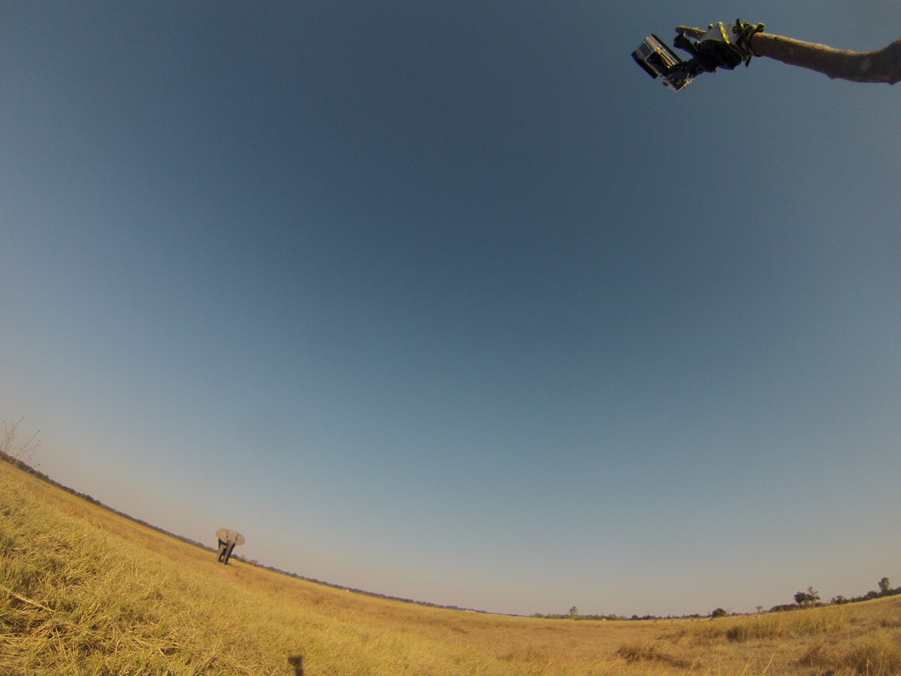 [25448] 2016_06_30_15_01_33_Africa_Hero3-Silver_Edition_IMG__01524.jpg