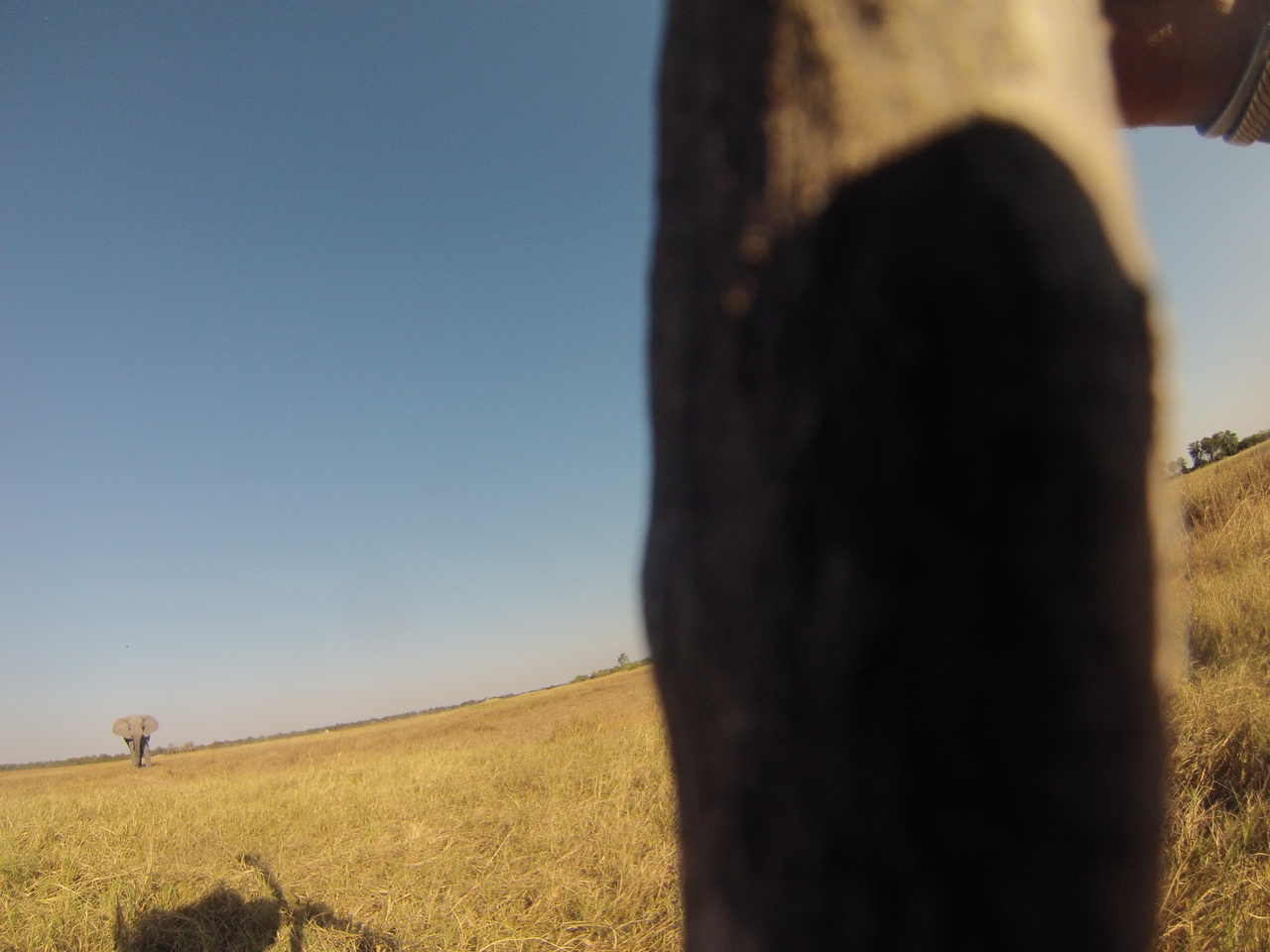 [25456] 2016_06_30_15_01_39_Africa_Hero3-Silver_Edition_IMG__00581.jpg